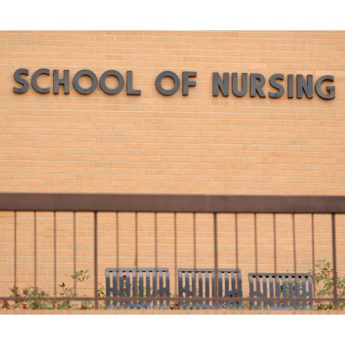 how-to-get-into-nursing-school-your-10-step-guide